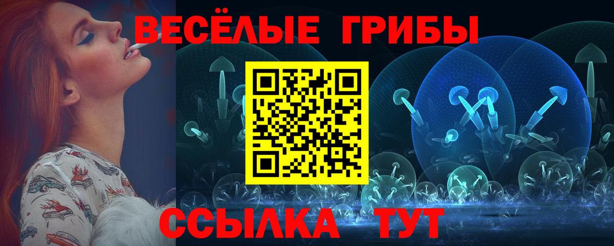 Малоярославец  Псилоцибиновые грибы Magic Shrooms  Вход с VPN 